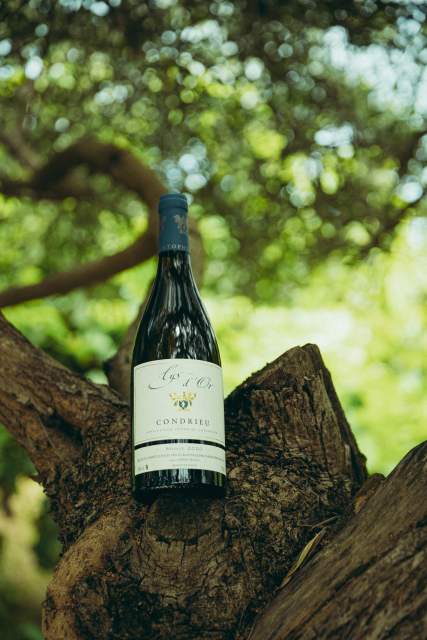 Domaine Christophe Semaska - Vignes