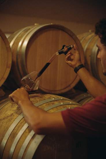 Domaine Christophe Semaska - Cave
