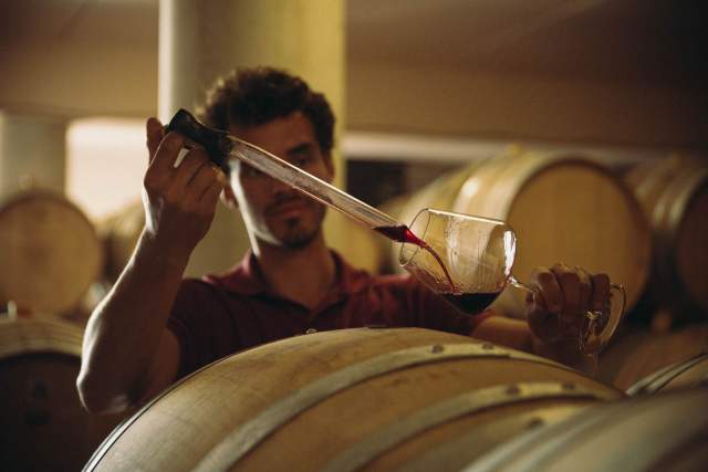 Domaine Christophe Semaska - Cave