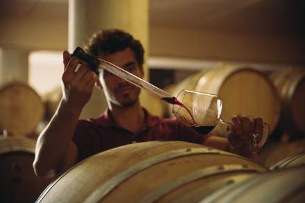 Domaine Christophe Semaska - Cave
